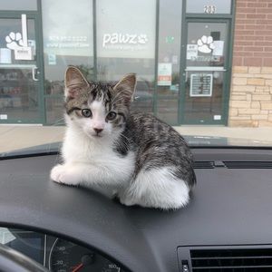 Meet your Posher, Jon